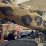 千歳烏山 ギター教室 レッスン風景